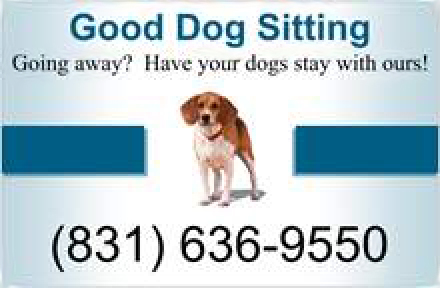 Good Dog Sitting Sign with Phone #831-636-9550